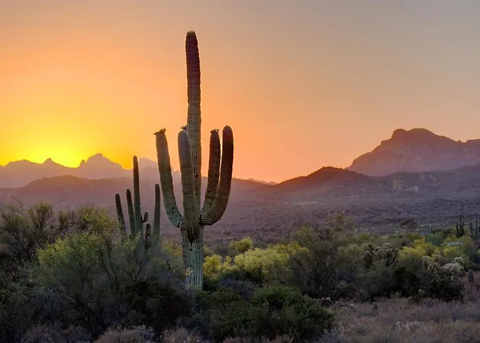 Aloft By Marriott Scottsdale